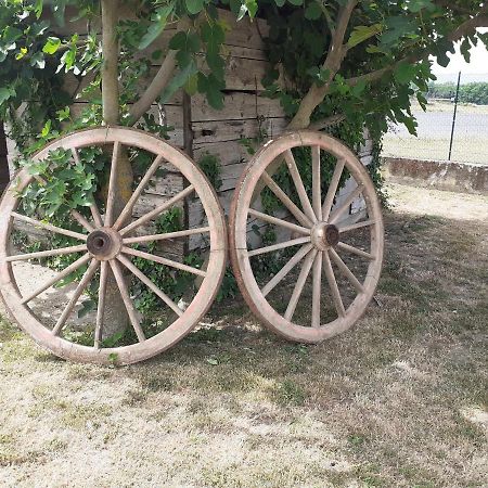 Bed and Breakfast La Fiora Sansepolcro Exterior foto